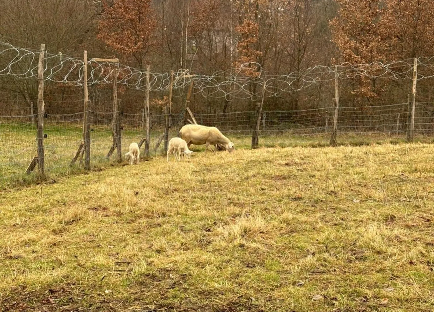 Casa di campagna Les Chambres D'Agath'Anes Ganac